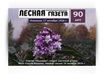 « Лесной газете» - 90 лет « Лесной газете» - 90 лет